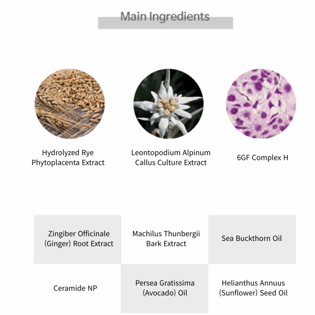 DMTS Bio Mist (80ml)