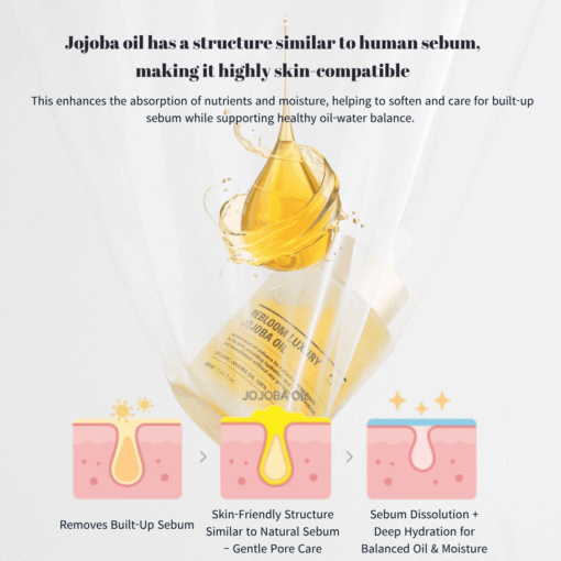Rebloom Luxury Jojoba Oil (50ml)
