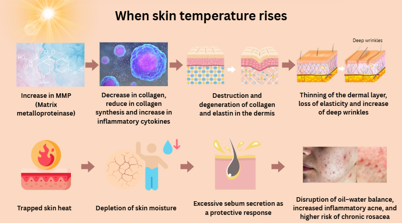 what happens when skin temperature rises