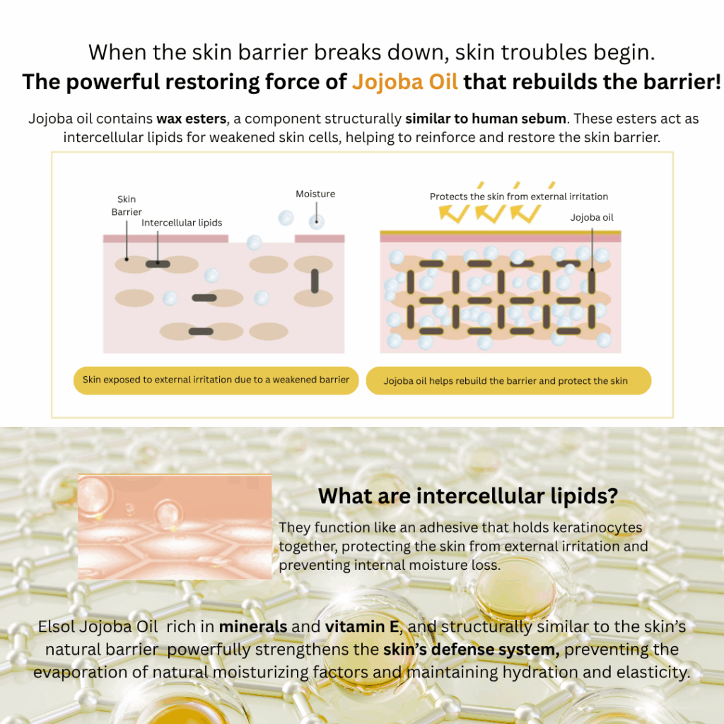 Dr. Sante Elsol Boosting Oil (50ml) Premium Israeli Jojoba Oil 100%, known as the highest grade Unrefined, cold-pressed, and USDA-certified organic Jojoba oil For dry skin, all skin type Dr. Sante Elsol Boosting Oil Ingredient : Israeli Jojoba Oil 100% Dr. SANTE – KOREA NO.1 AESTHETIC BRAND