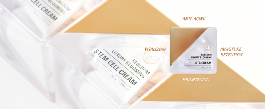 Exosome cream, Adipose exosome, Stem cell, Adipose stem cell cream, glow cream, Korean exosome, Korean stem cell, Korean aesthetic skincare, K-beauty cream, Korean cream