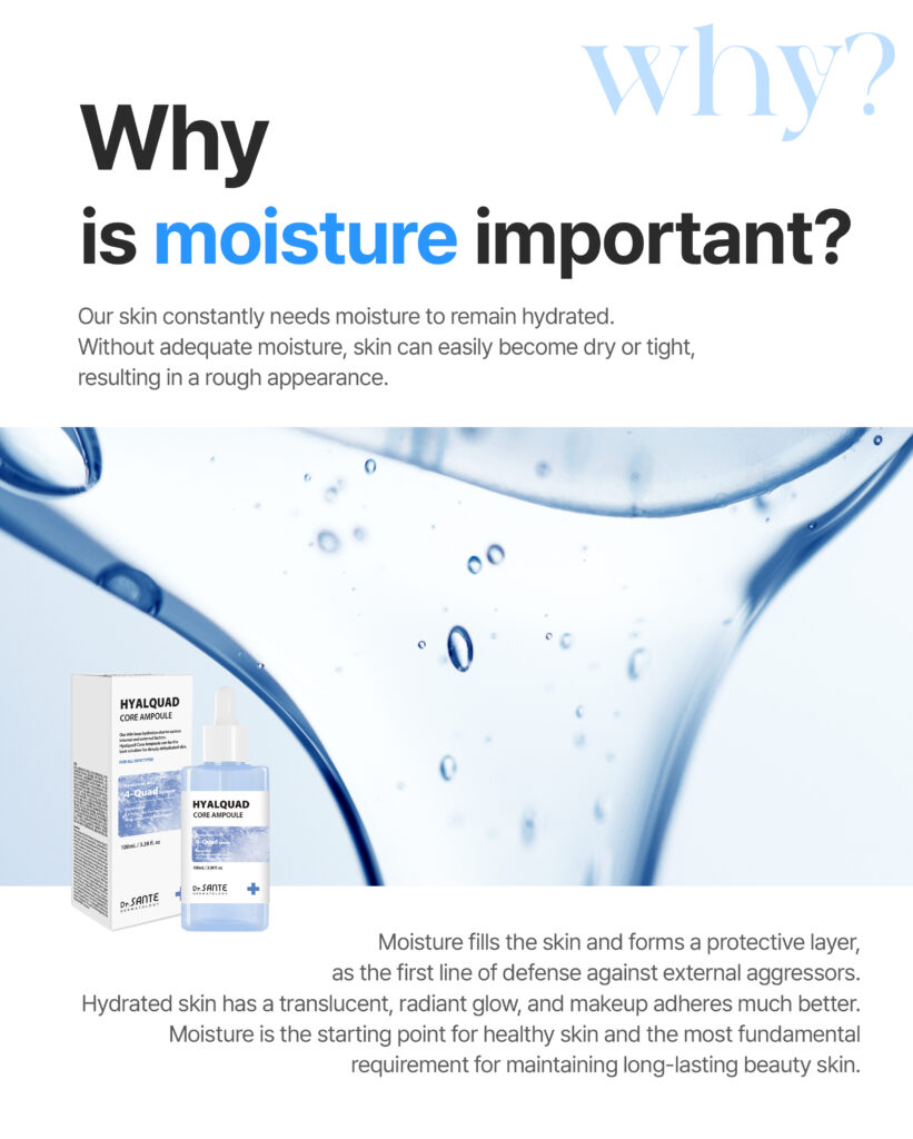 Dr.SANTE Hyalquad Core Ampoule (100ml)